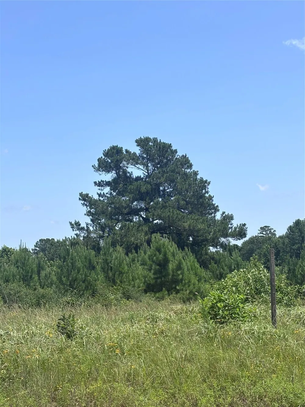 Canopy Ridge Kennard, TX 75847