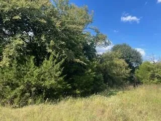 Lcr 898 Jewett, TX 75846