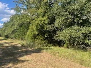 Lcr 898 Jewett, TX 75846