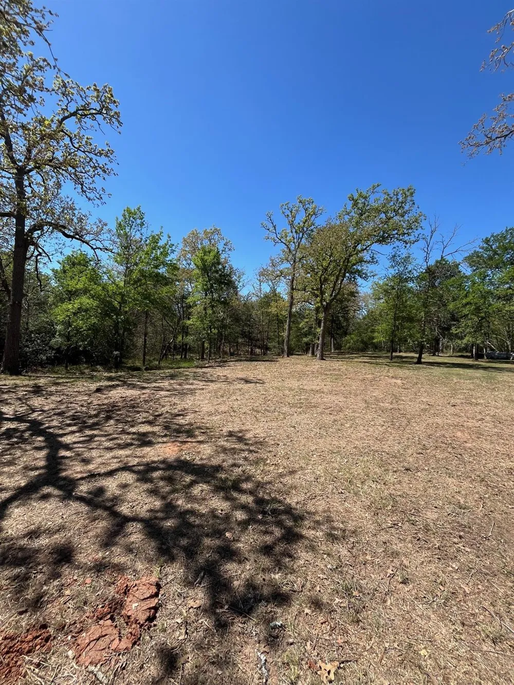 409 Bengals Bend Somerville, TX 77879