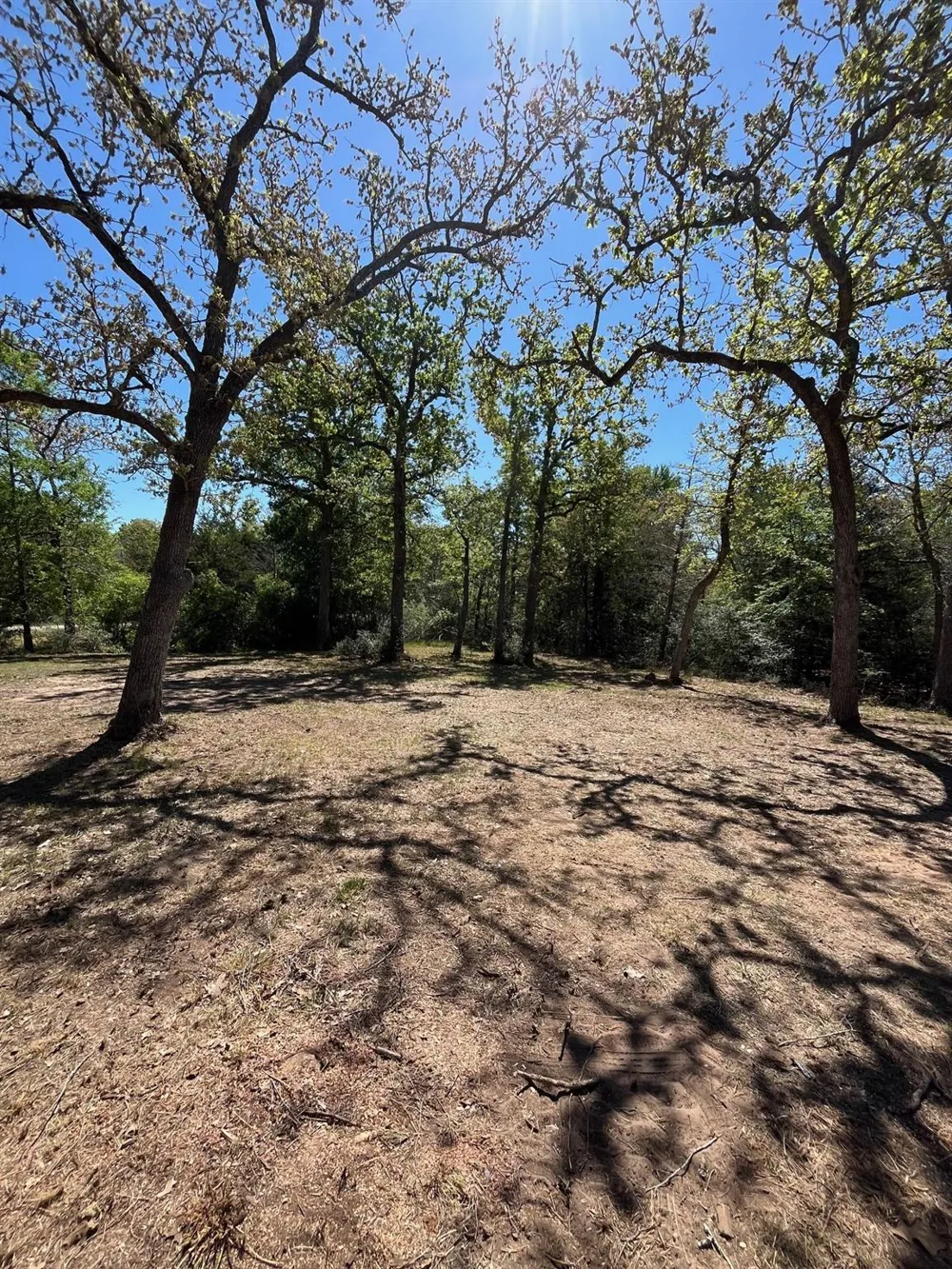 409 Bengals Bend Somerville, TX 77879