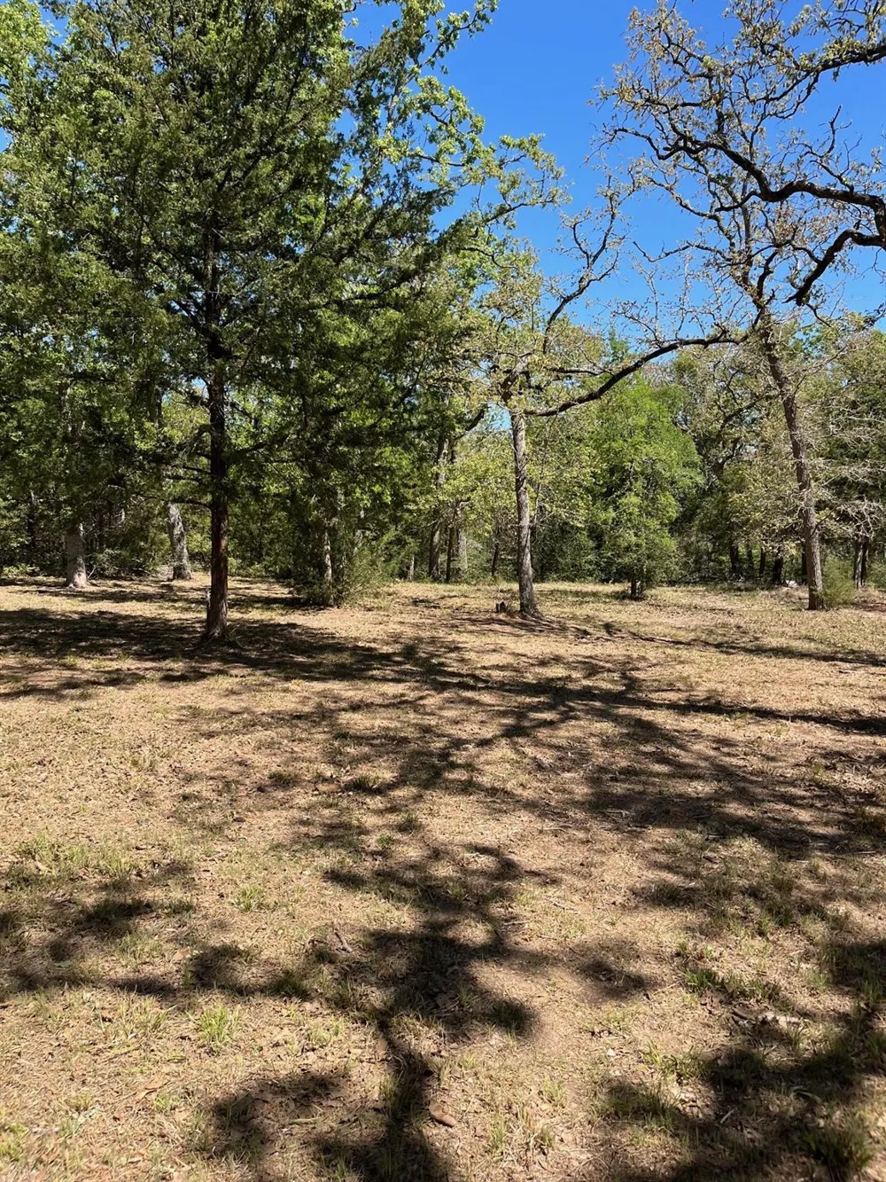 409 Bengals Bend Somerville, TX 77879