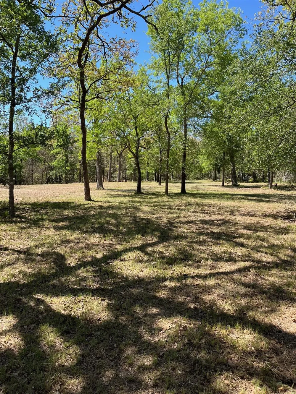 409 Bengals Bend Somerville, TX 77879