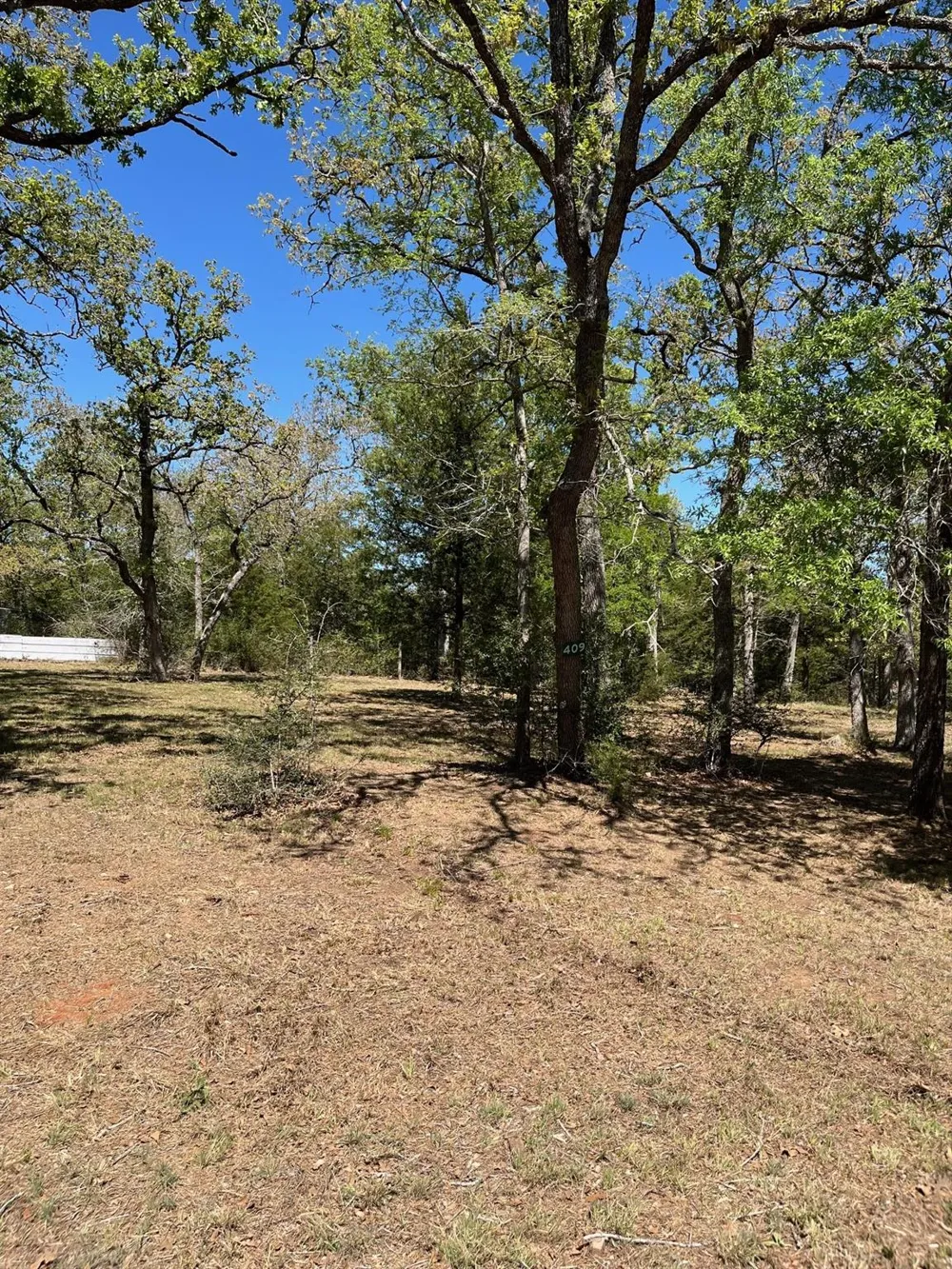409 Bengals Bend Somerville, TX 77879