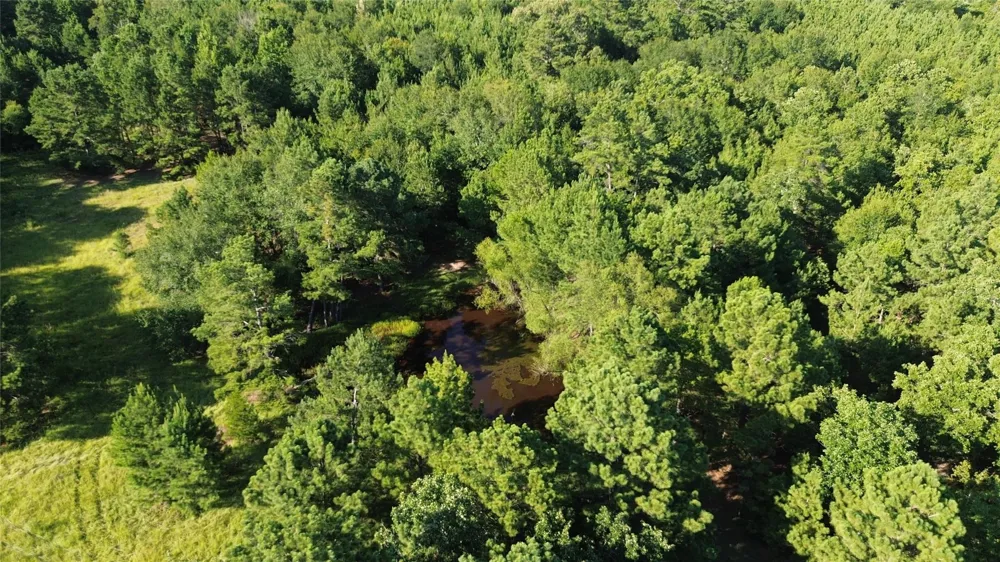 511 County Road 112 Elkhart, TX 75839