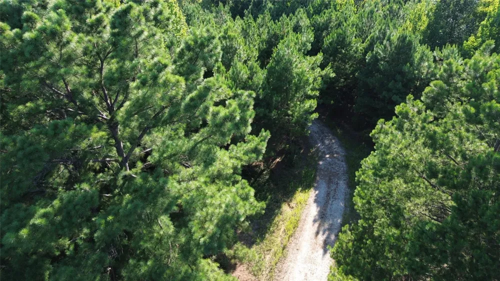 511 County Road 112 Elkhart, TX 75839