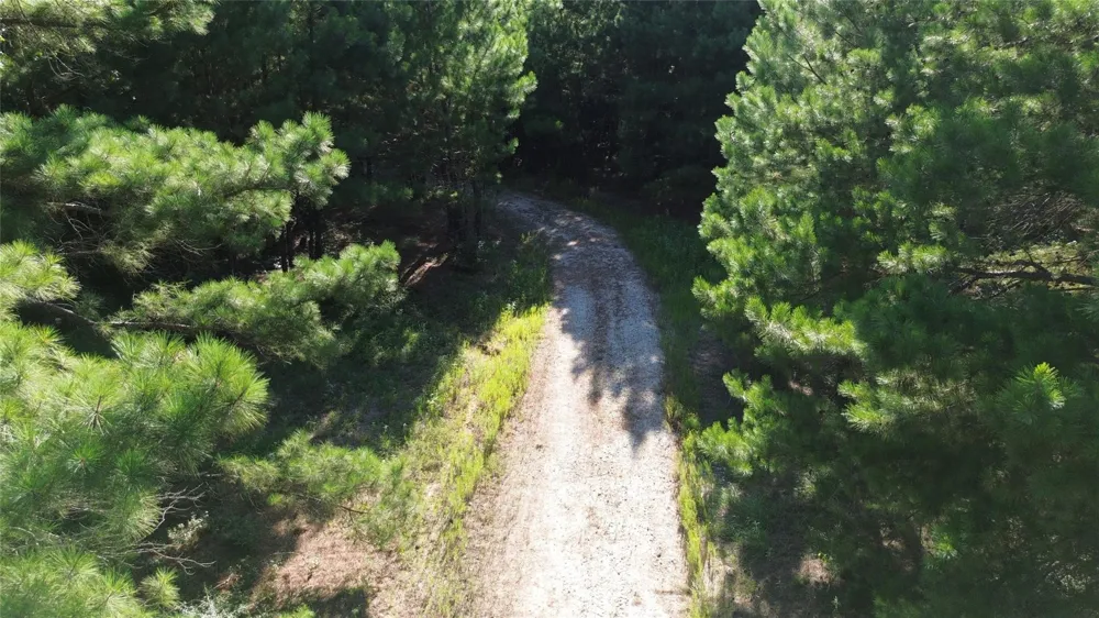 511 County Road 112 Elkhart, TX 75839
