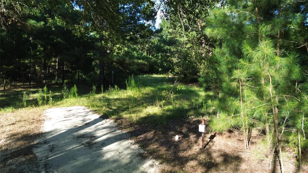 511 County Road 112 Elkhart, TX 75839