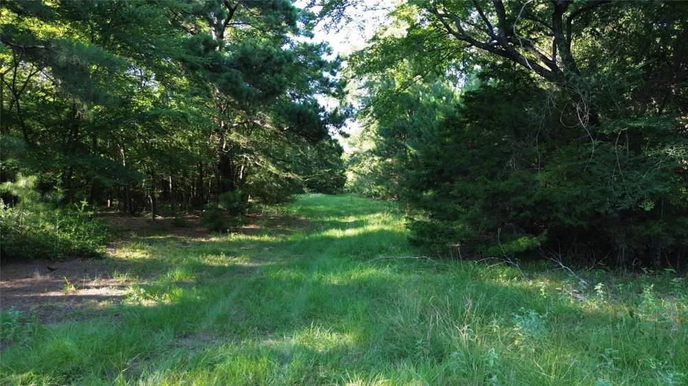 511 County Road 112 Elkhart, TX 75839