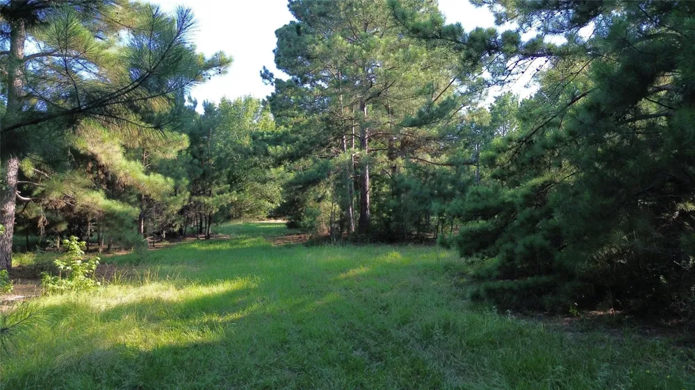 511 County Road 112 Elkhart, TX 75839
