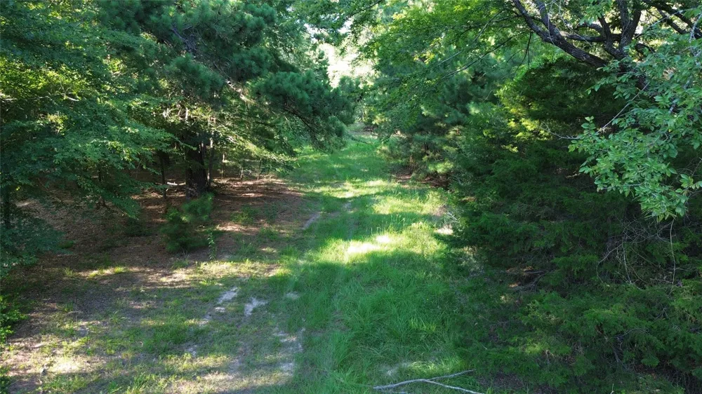 511 County Road 112 Elkhart, TX 75839