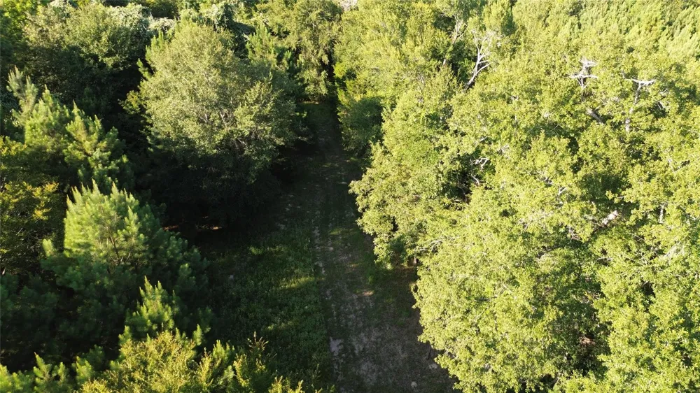 511 County Road 112 Elkhart, TX 75839