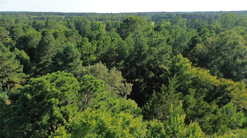 511 County Road 112 Elkhart, TX 75839