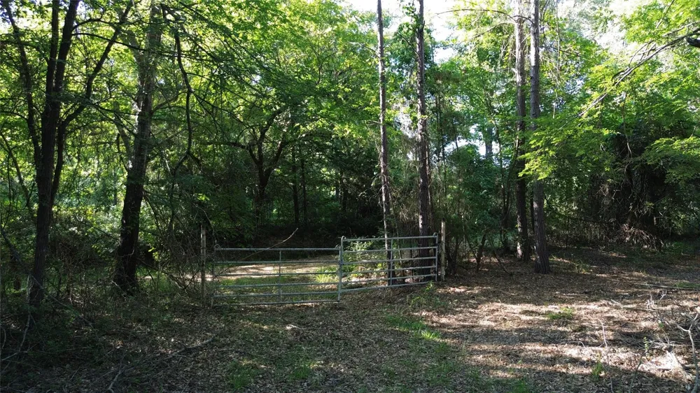 511 County Road 112 Elkhart, TX 75839