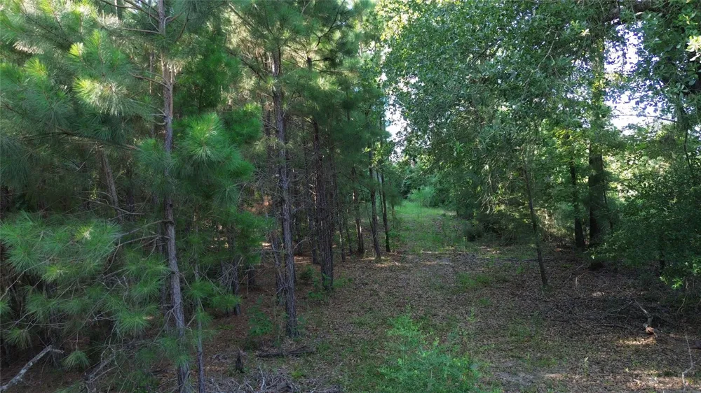 511 County Road 112 Elkhart, TX 75839