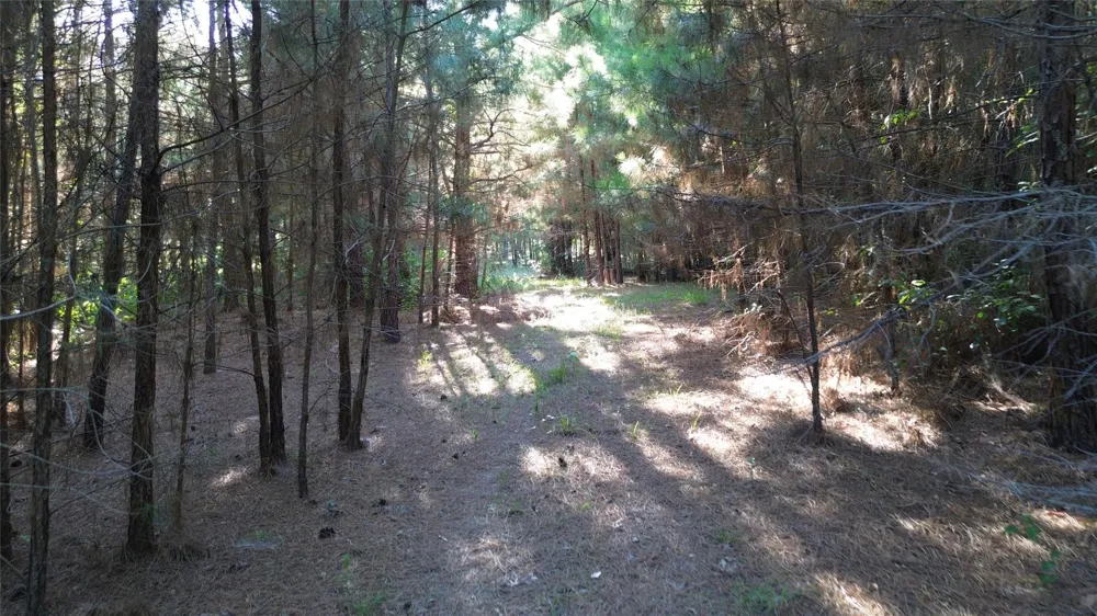 511 County Road 112 Elkhart, TX 75839