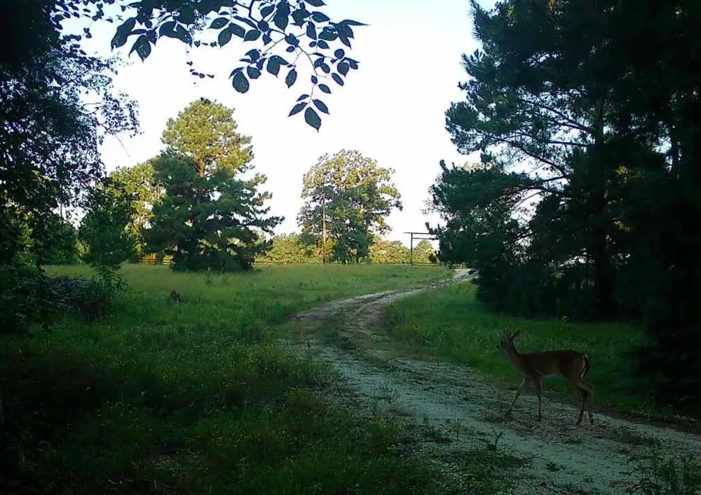 511 County Road 112 Elkhart, TX 75839