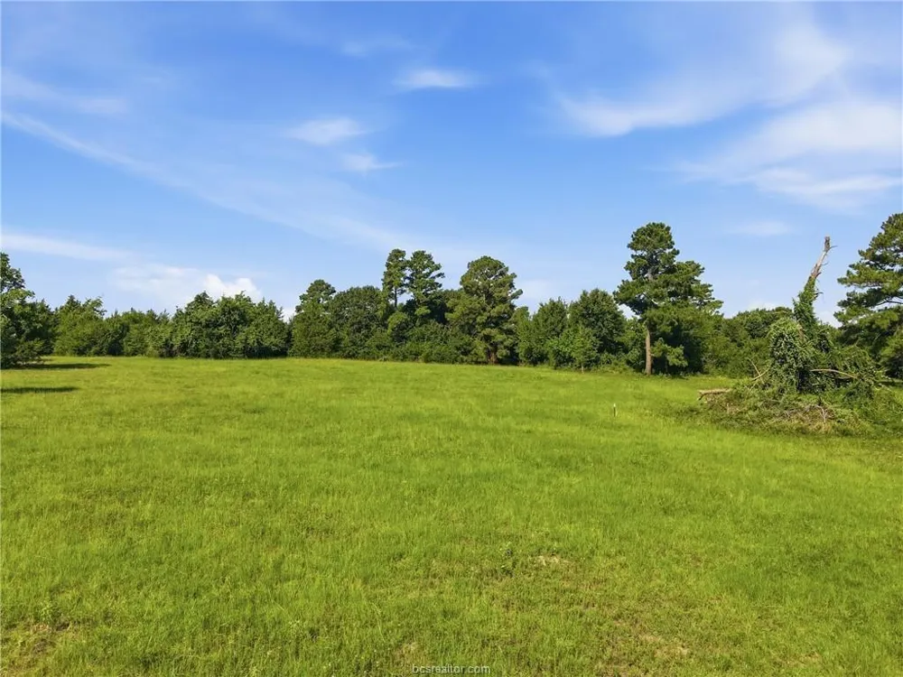 Fm 2562 Anderson, TX 77830