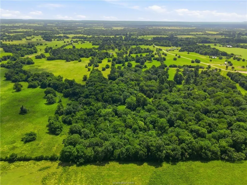 Fm 2562 Anderson, TX 77830
