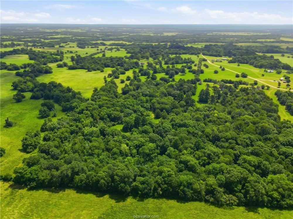 Fm 2562 Anderson, TX 77830
