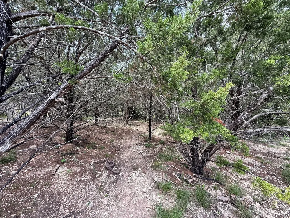 1709 Long Bow Drive Leander, TX 78641