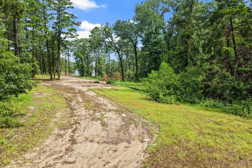 4580 FM 3007 Scroggins, TX 75480