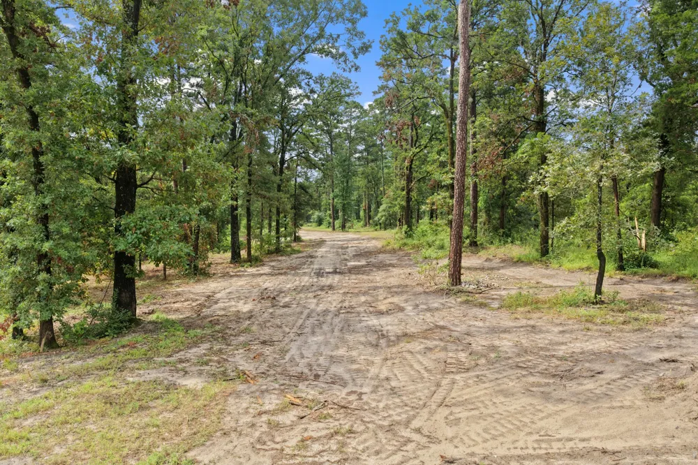 4580 FM 3007 Scroggins, TX 75480