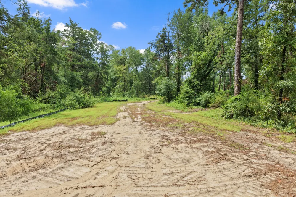 4580 FM 3007 Scroggins, TX 75480