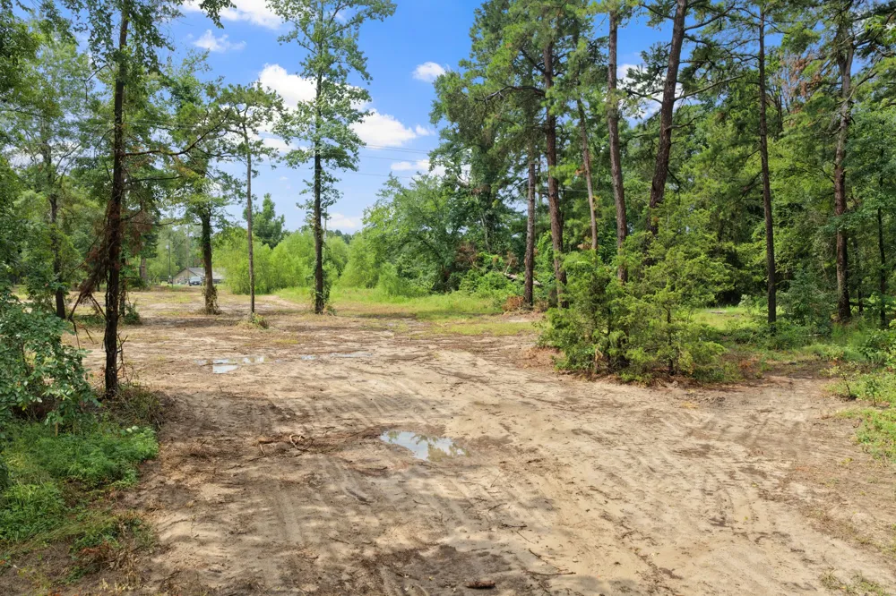 4580 FM 3007 Scroggins, TX 75480