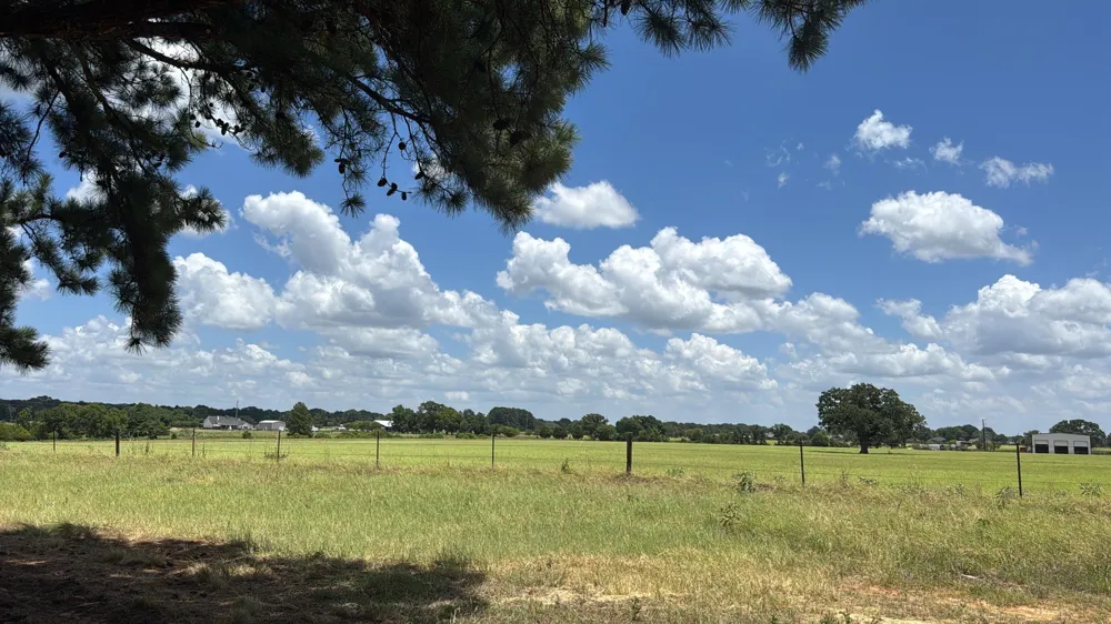 5337 Dusty Road Athens, TX 75752