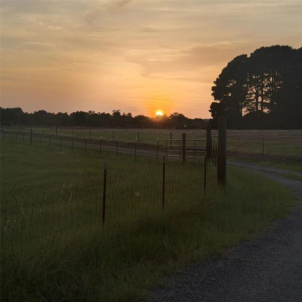 5337 Dusty Road Athens, TX 75752