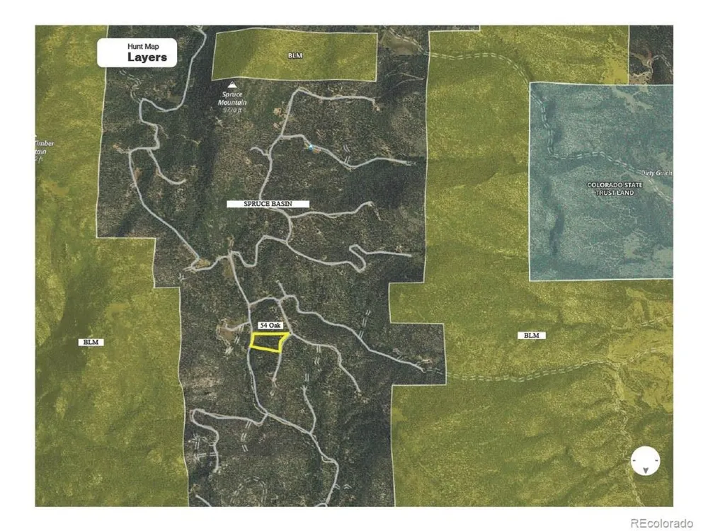 54 Oak Drive Cotopaxi, CO 81223