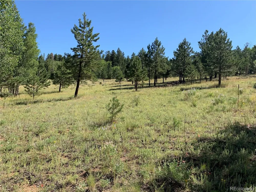 54 Oak Drive Cotopaxi, CO 81223