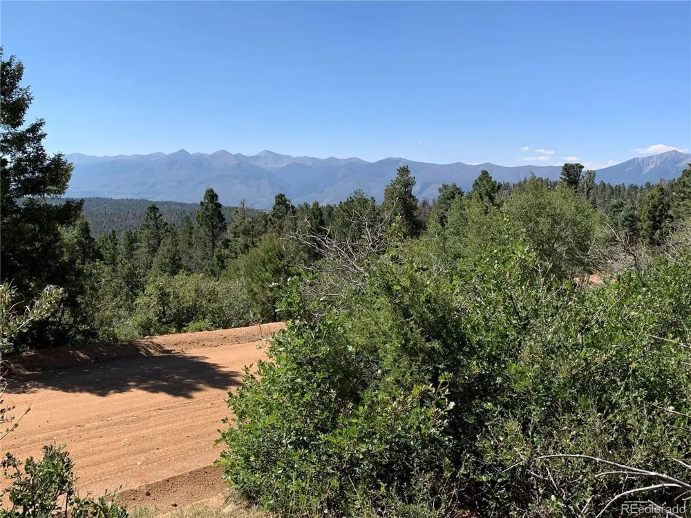 54 Oak Drive Cotopaxi, CO 81223