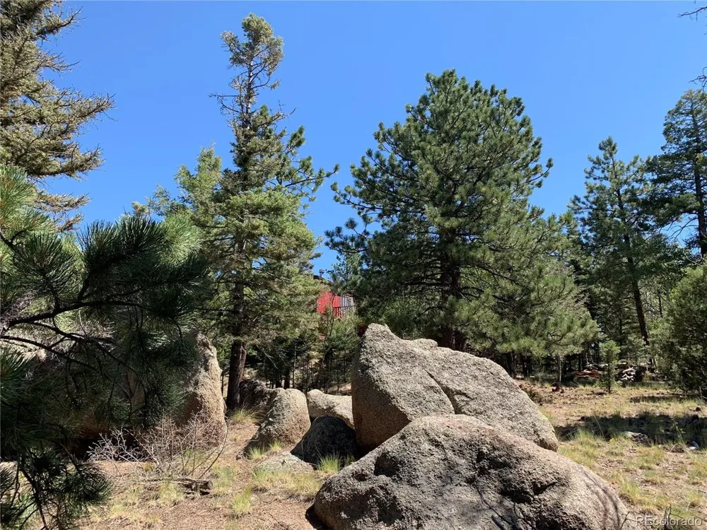 54 Oak Drive Cotopaxi, CO 81223