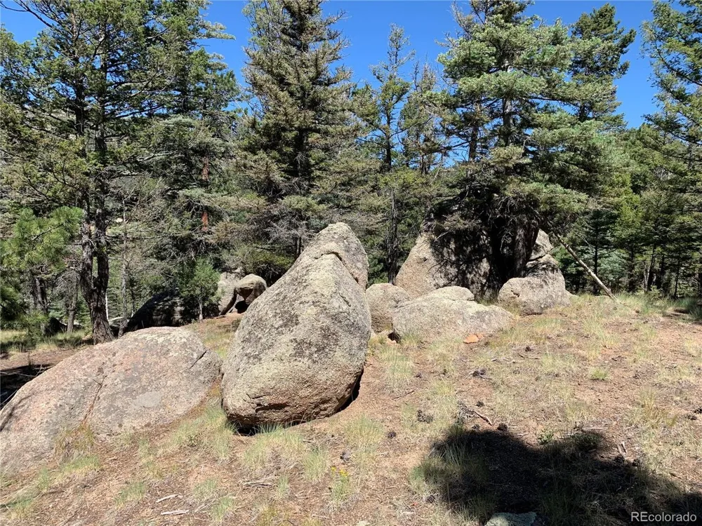 54 Oak Drive Cotopaxi, CO 81223