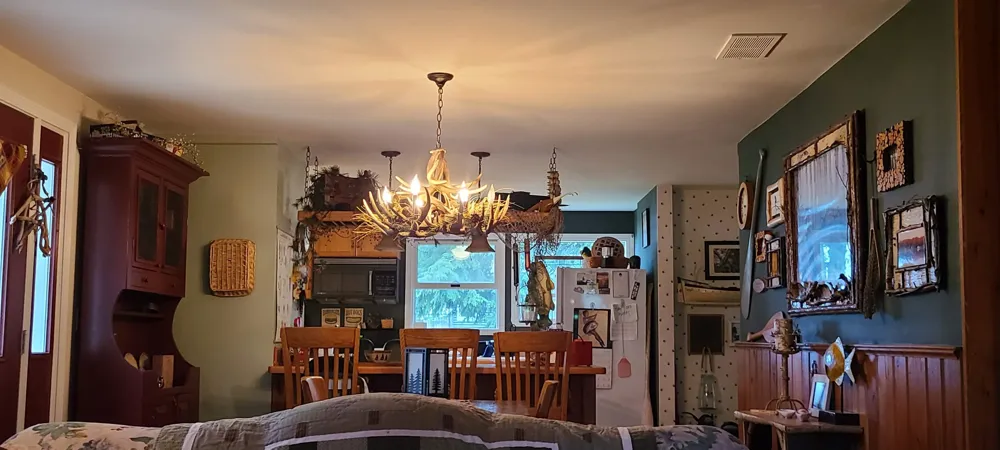 3631 Cedar Lake Road Alcona Township, MI 48738