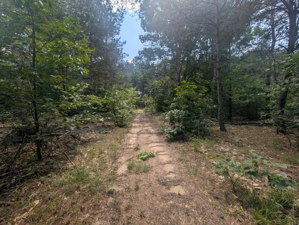 3360 Starlight Trail Paradise Township, MI 49649