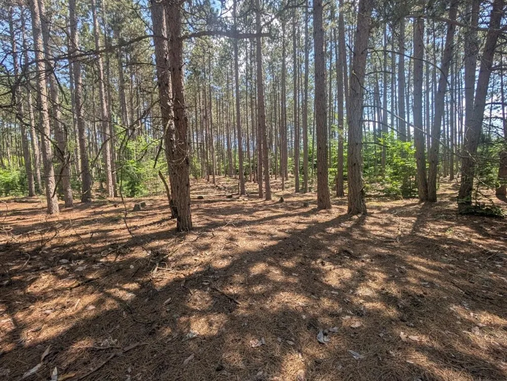 3360 Starlight Trail Paradise Township, MI 49649