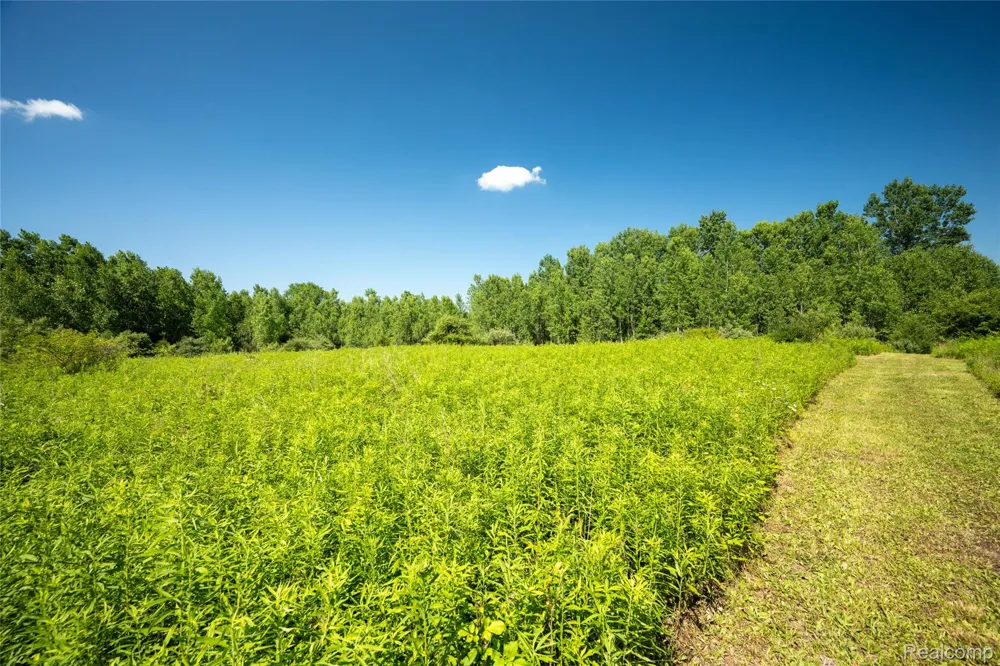 Hagerman Road Addison Township, MI 48367