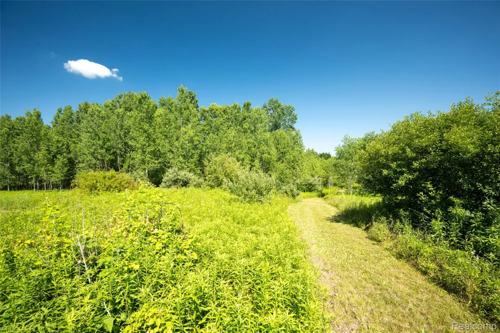 Hagerman Road Addison Township, MI 48367
