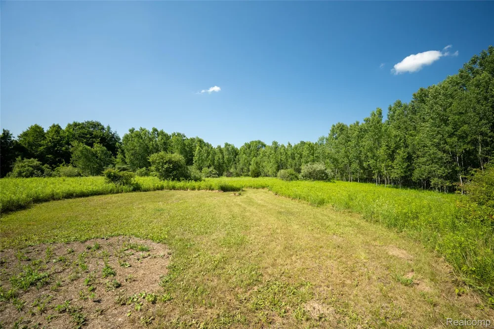 Hagerman Road Addison Township, MI 48367