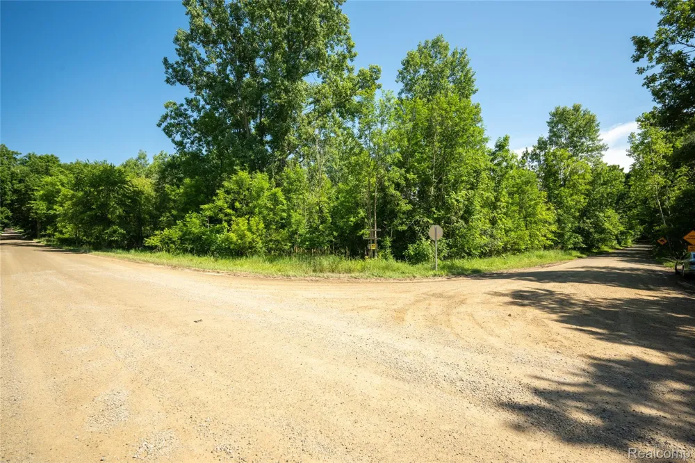 Hagerman Road Addison Township, MI 48367
