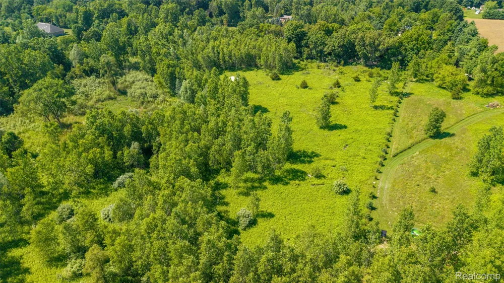Hagerman Road Addison Township, MI 48367