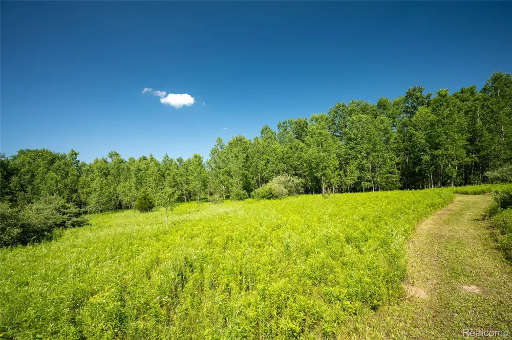 Hagerman Road Addison Township, MI 48367