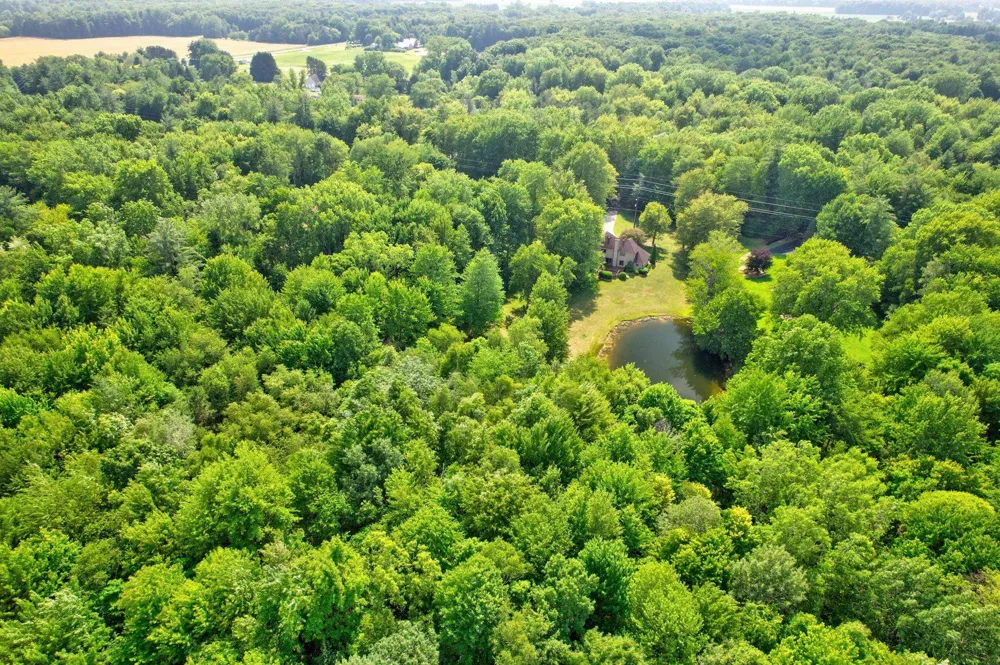 8665 S Gera Road Birch Run Township, MI 48415