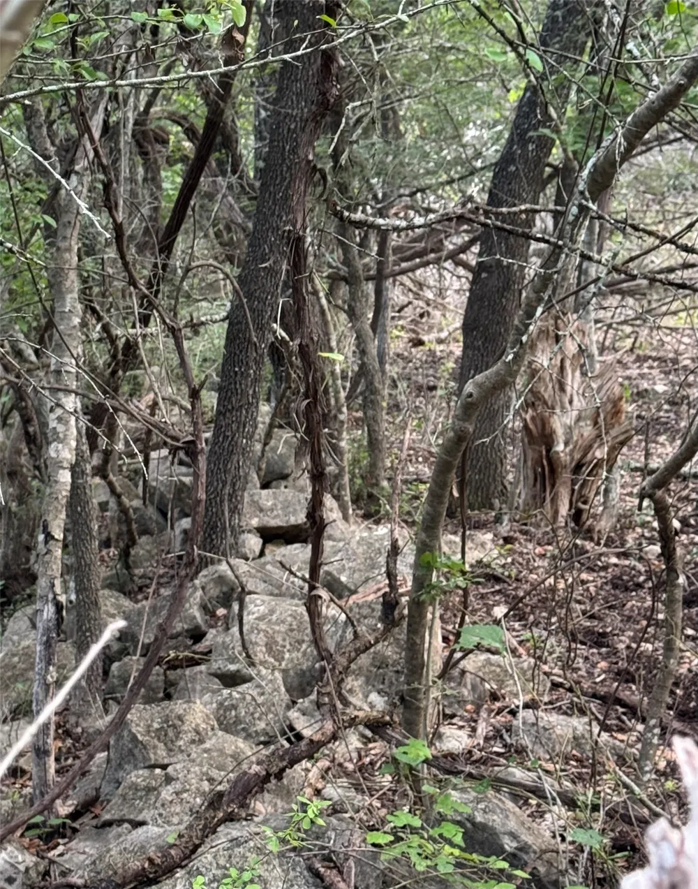 Round Mountain Road Leander, TX 78641