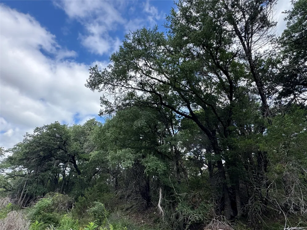 Round Mountain Road Leander, TX 78641