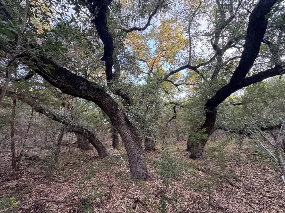 Round Mountain Road Leander, TX 78641