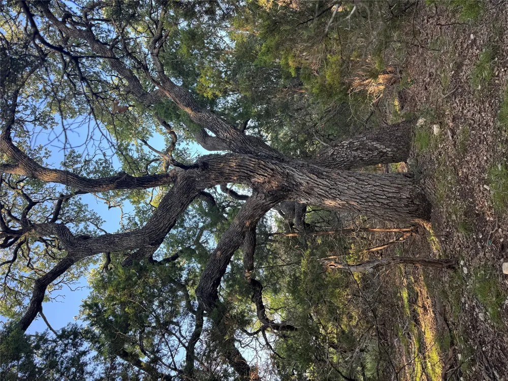 Round Mountain Road Leander, TX 78641